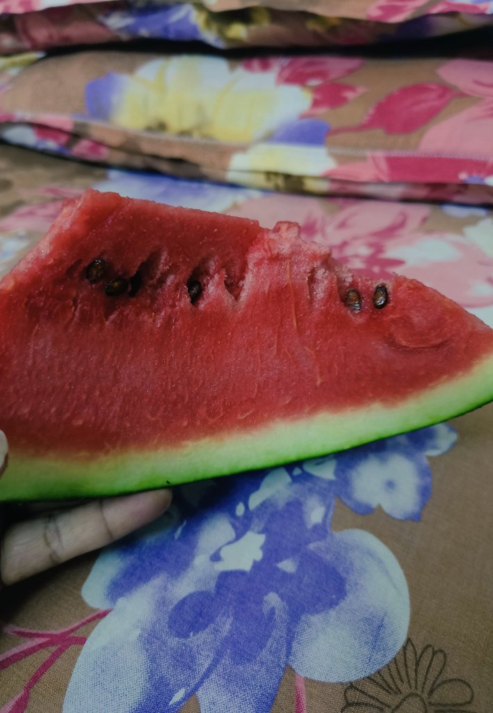 NikitaGoswwaami's tweet photo. 🍉 की स्लाइस को देखकर कौनसा गाना याद आ रहा है? https://t.co/MsKZZD7gep