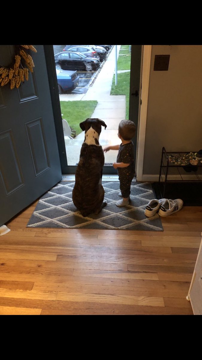 Happy Birthday Max! I cannot believe you’re 3 years old already 😊🎉🥳