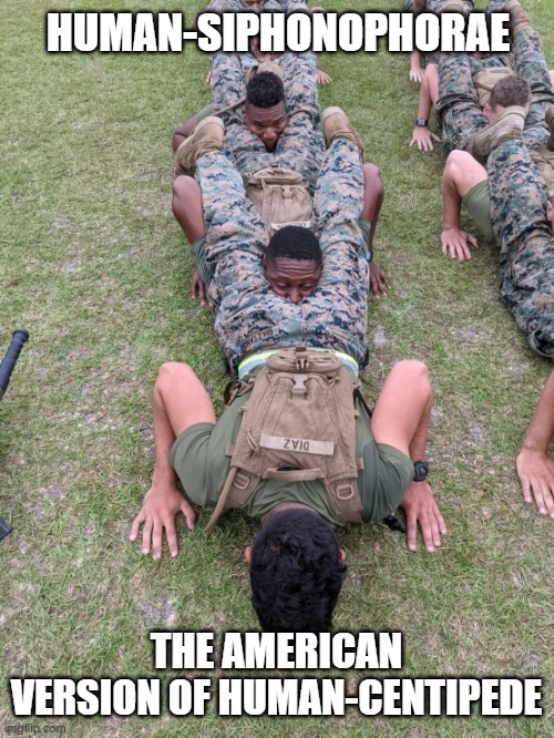 #lilHigh #funnymemes #darkmemes #humancentipede #humansiphonophorae #siphonophorae #american