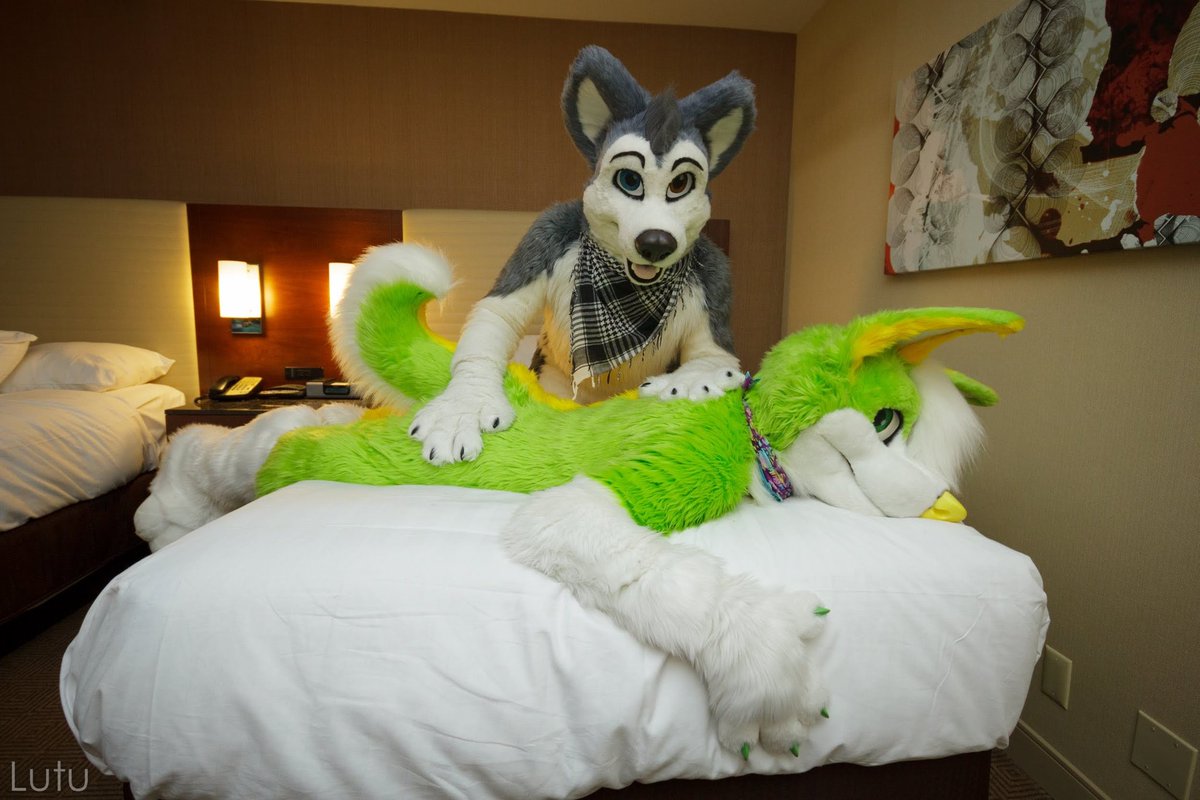 Today, exactly 10 years (!!!) ago, I received a package that would change my life 🐶

💚💛 <a href="/AorooHusky/">Aoroo</a> 
🩶🤍 <a href="/BerionHusky/">Berion 🔜 NFC ➡️ CFZ</a> 
📸 <a href="/Lutufox/">Lutu 💙💛 🔜 NFC</a>