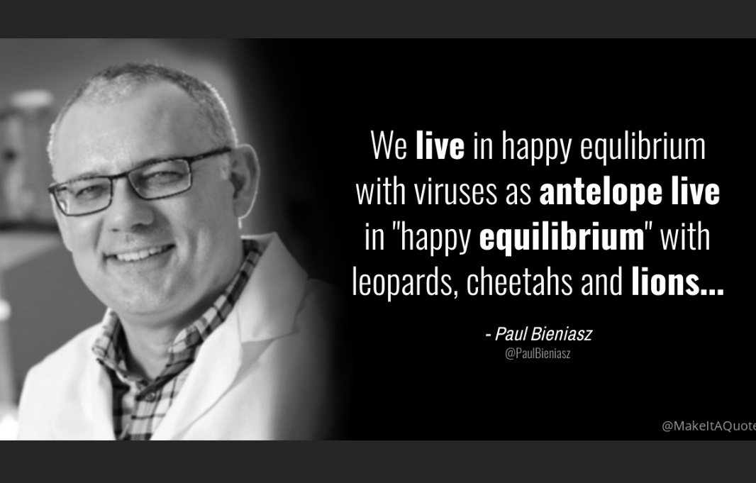Algorithmus22's tweet photo. @stohr_klaus #SARSCoV2 mutiert &amp; rekombiniert frei als BSL3Z 
#COVIDisAirborne 
#CovidIsNotOver 
#monkepox are endemic
so let rip these pathogens believing in stupid herd immunity https://t.co/Ck6WvYzfyh