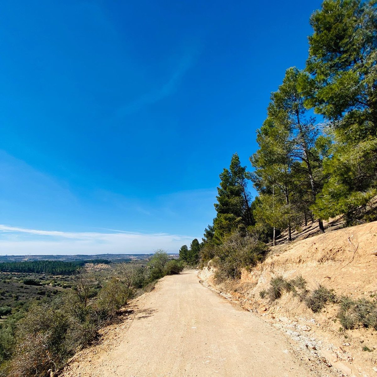 AlbBarrantes's tweet photo. ¿Qué si me lo he gozado hoy? MUCHÍSIMO 😜

15 kilómetros de #Trail4Fun https://t.co/CdB4iCVGJk