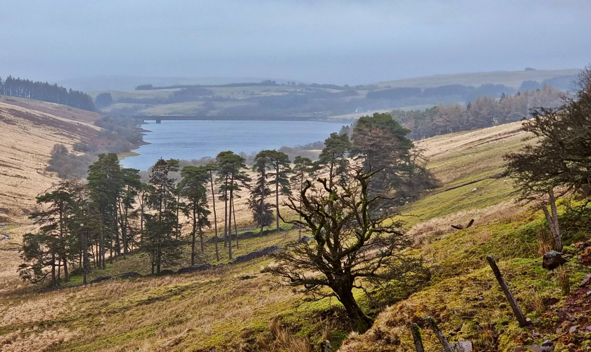 Sunday Stroll around Crai Reservoir #BreconBeaconsNationalPark #CraiReservoir #Cnewrestate