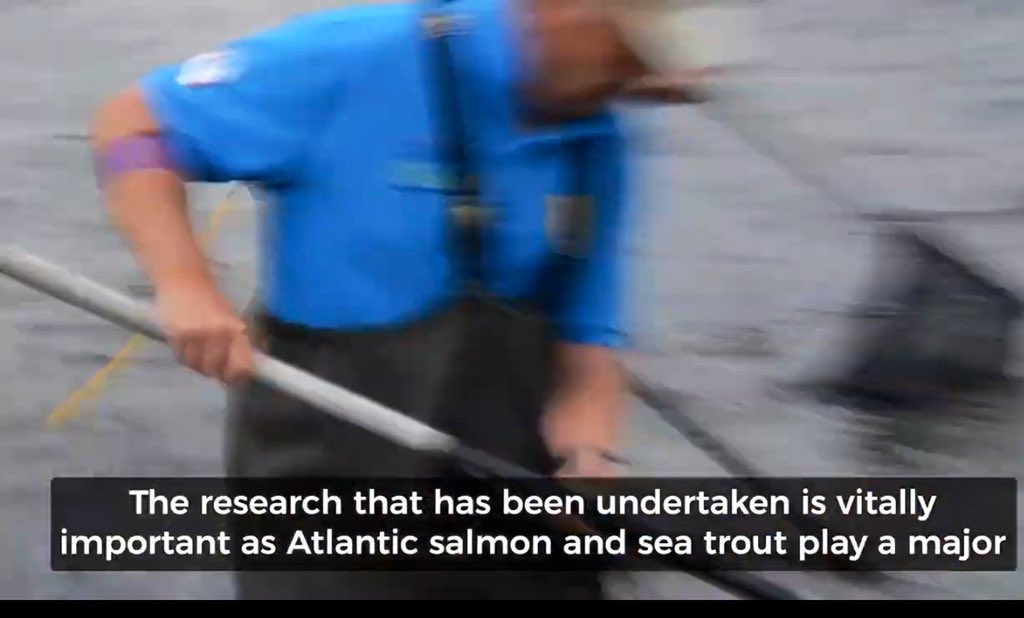 blackgull's tweet photo. two day international migratory salmonid conference next week
a 3min film on why https://t.co/znBwVPAhxX
@GWCTFisheries @INRAE_France @WildFishCons @SalmonAlliance @theriverstrust @IFMFish @NASCO_Sec @AST_Salmon @kenwhelan0451 @dr_andyking @fms_scotland @EnvAgencySW #SAMARCH https://t.co/zUlTYDeetx