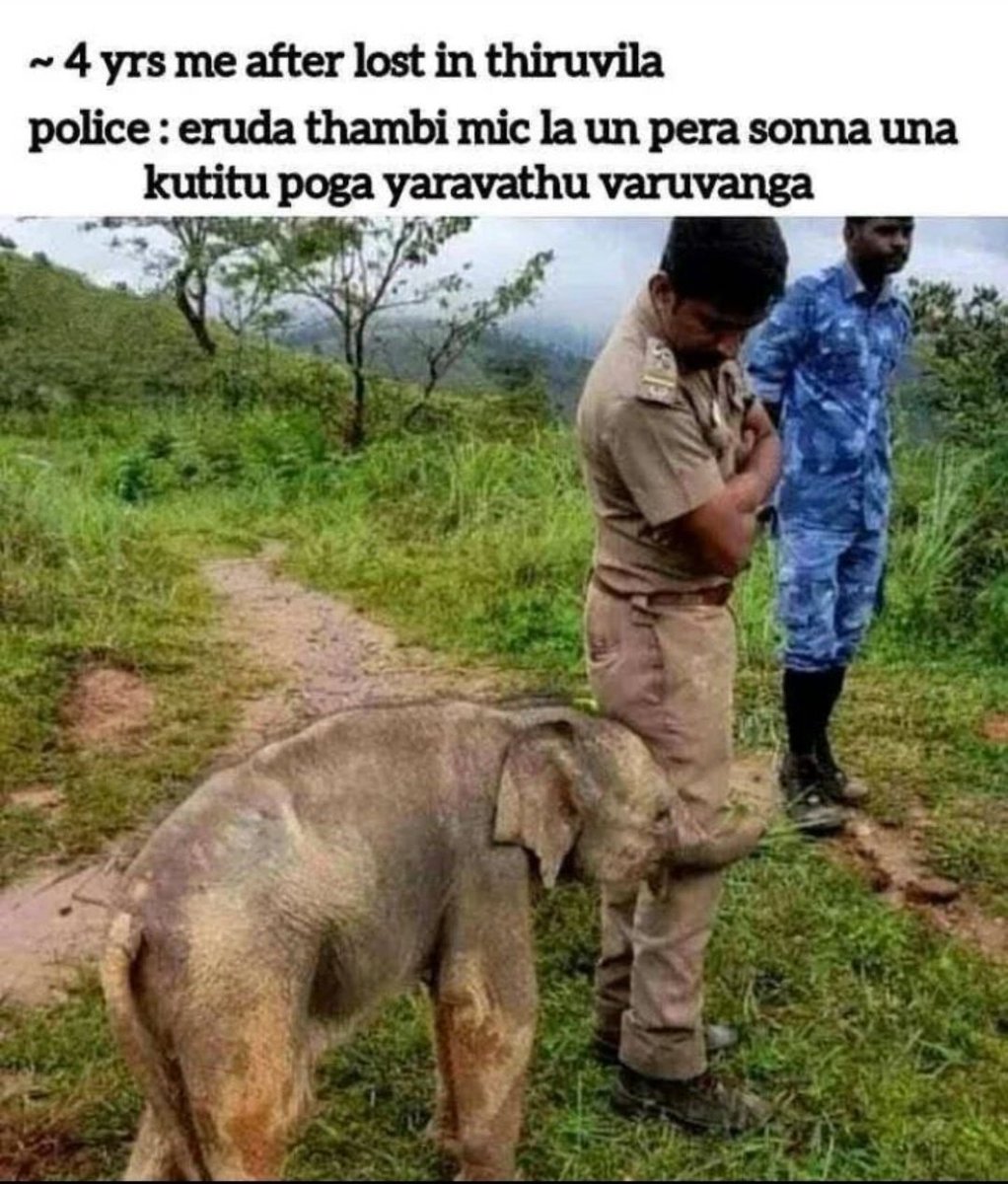 🤣🤣