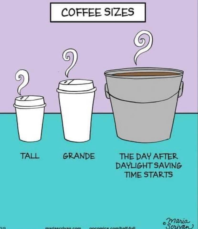 Marta Wilson (@drmartawilson) on Twitter photo 