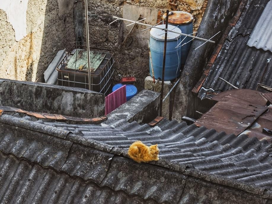 majomina's tweet photo. Livin' on the edge
#HabanaVieja #LaHabana https://t.co/3FJk6WA64z