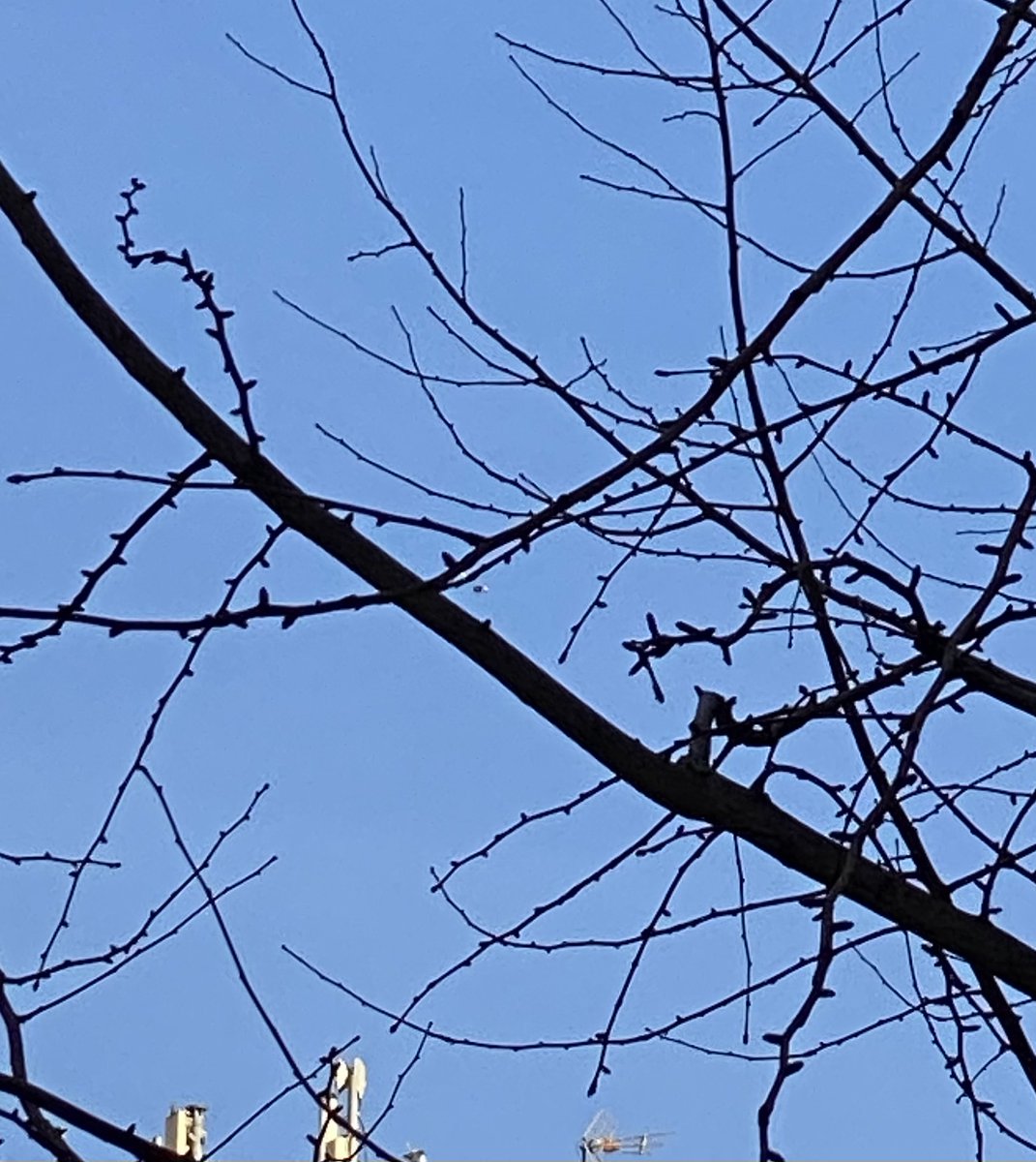 July Nechaeva tweet media