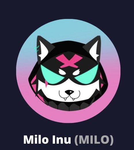 0x27_Panda's tweet photo. @MiloInu @cz_binance https://t.co/4Rh5io3sxX