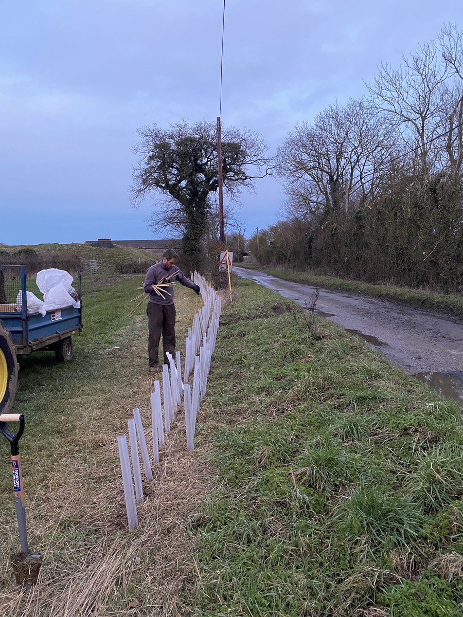 Tim Barrell tweet media