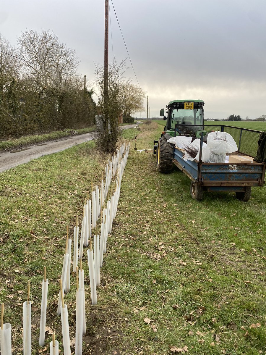 Tim Barrell tweet media