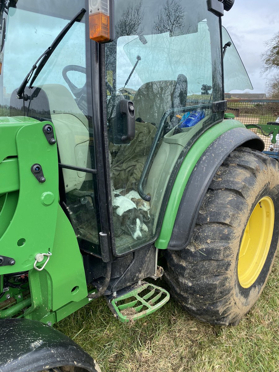 Tim Barrell tweet media