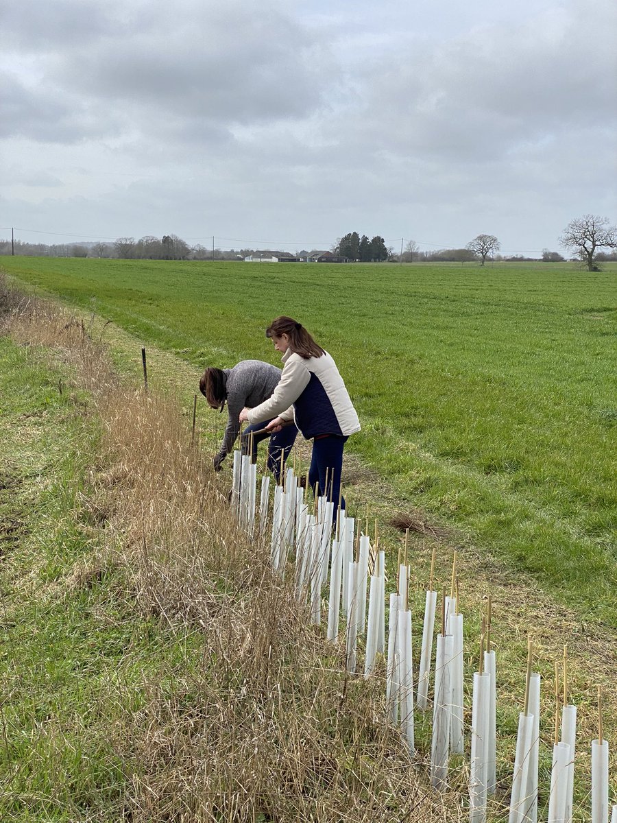 Tim Barrell tweet media