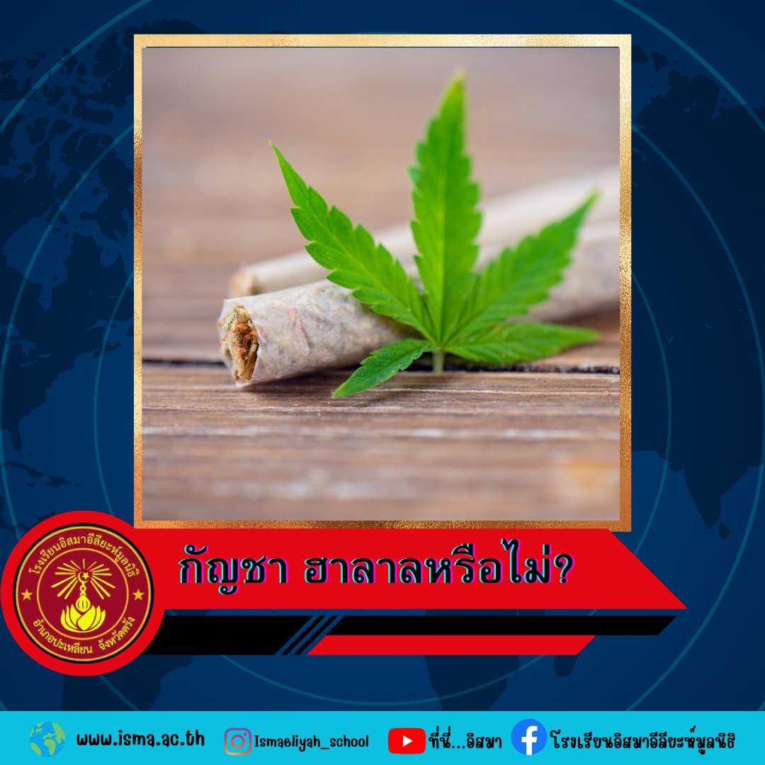 isma_school's tweet photo. กัญชา ฮาลาลหรือไม่? https://t.co/GS62QIXDjk https://t.co/KSaLiw9j2A