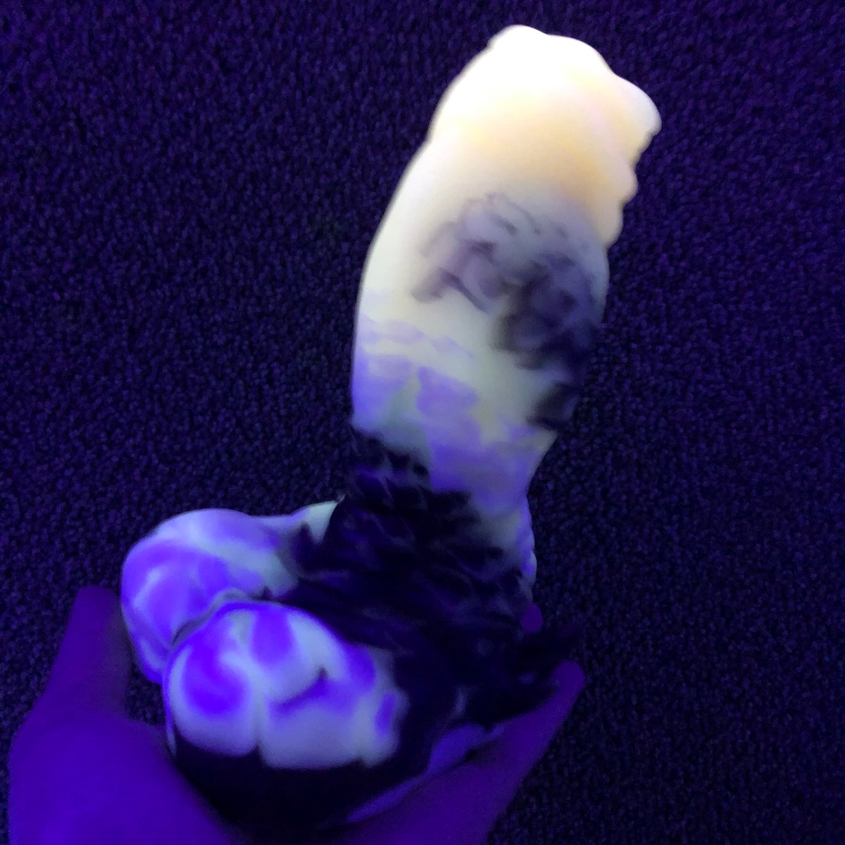 CryptBat's tweet photo. UV shots! He’s suuuuuper gorgeous in the UV!!🎉🤌💎 https://t.co/244Qx8zscT