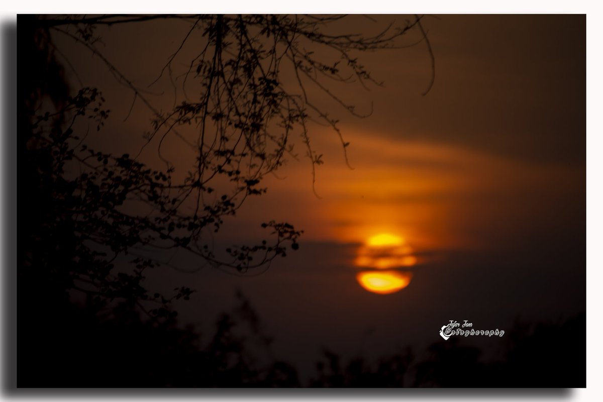 JafarJam2's tweet photo. Sun Set Moment 

Canon 700d 55-250mm

#nuts_about_birds
#birdphotographersofindia
#birdsphotography
#wildlifephotography
#birdsofindiansubcontinent
#bird
#birdsofinstagram
#birdpics
#nuts_about_birds
#wildlifeperfection
#birds_adored
#nature_worldwide_bird https://t.co/TQd1t6VX3D
