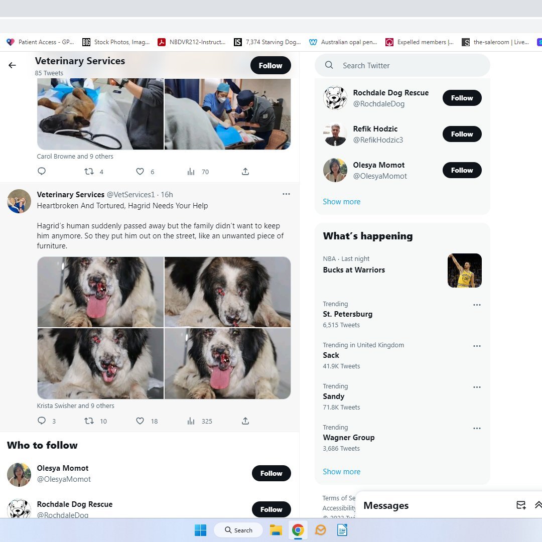 📢📢#ScamAlert New scammer <a href="/VetServices1/">Veterinary Services</a> does not answer questions &amp; images below stolen from Cuddly FB page, see⏬. Pls block/report/share. They are conning people out of money &amp; depriving real rescues of much needed funds.😡😡😡