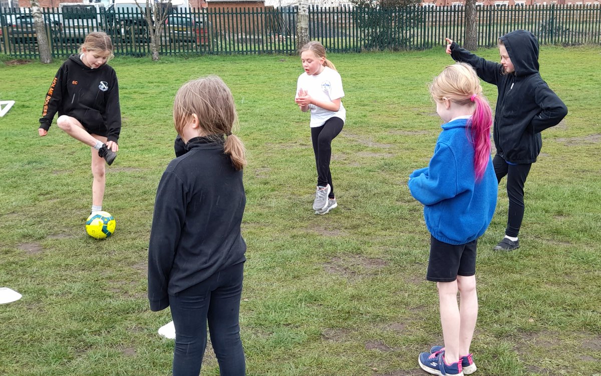 HOSM Primary tweet media