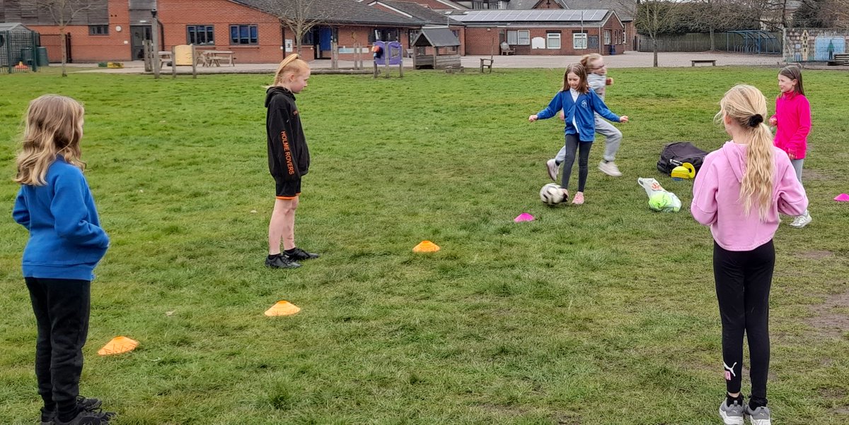 HOSM Primary tweet media