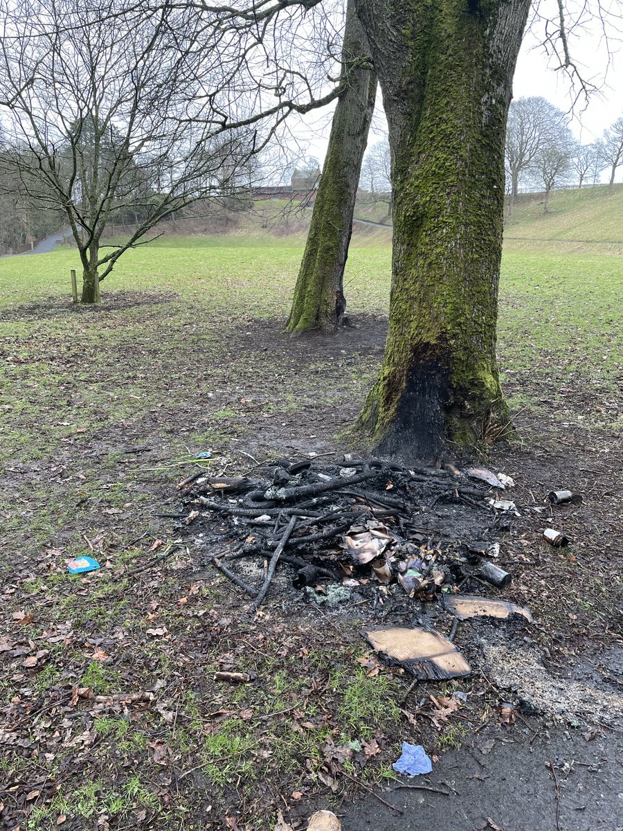 Carolyn Hope (Carrie) tweet media