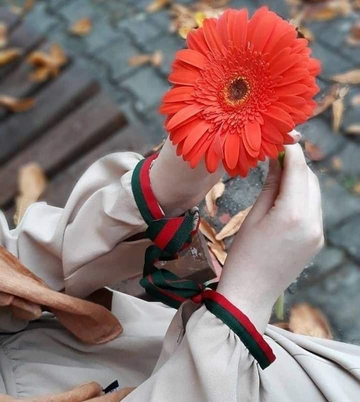 تھکن پیروں سے اُٹھ کر دل سے آ لپٹی ہے 
سفر اب کوئی ٹھکانہ چاہتا ہے....

🦋🥀