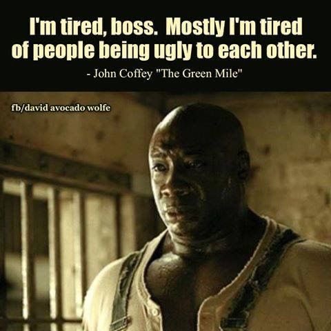 Boxerus Maximus tweet media