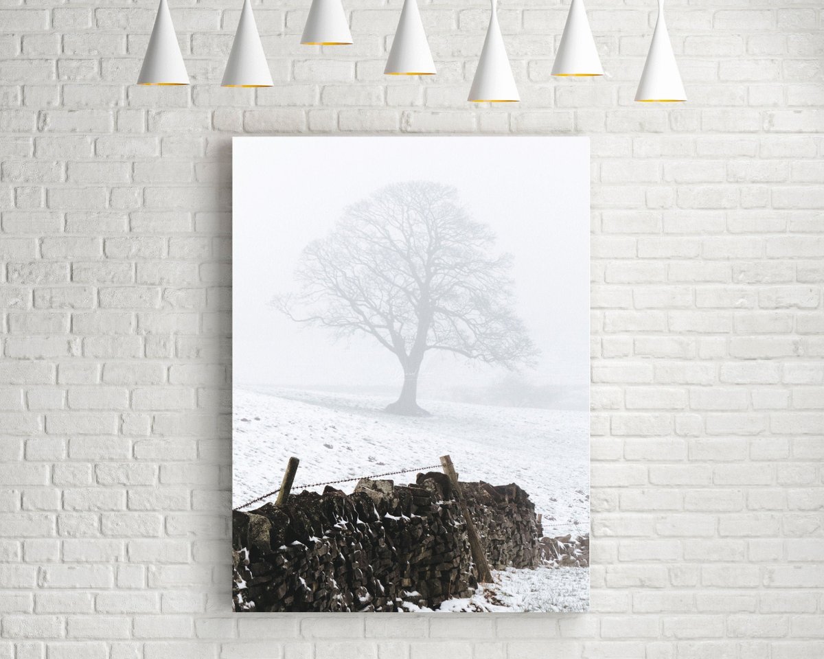 danscapephoto's tweet image. Tree In Winter Print, Farm in Snow, Landscape Photography Sheffield, Oak Tree, Canvas Wall Art, White Home Decor, Stone Wall, Fine Art Photo p.danscape.co/30MkpiP #Etsy #Prints #OldOakTree