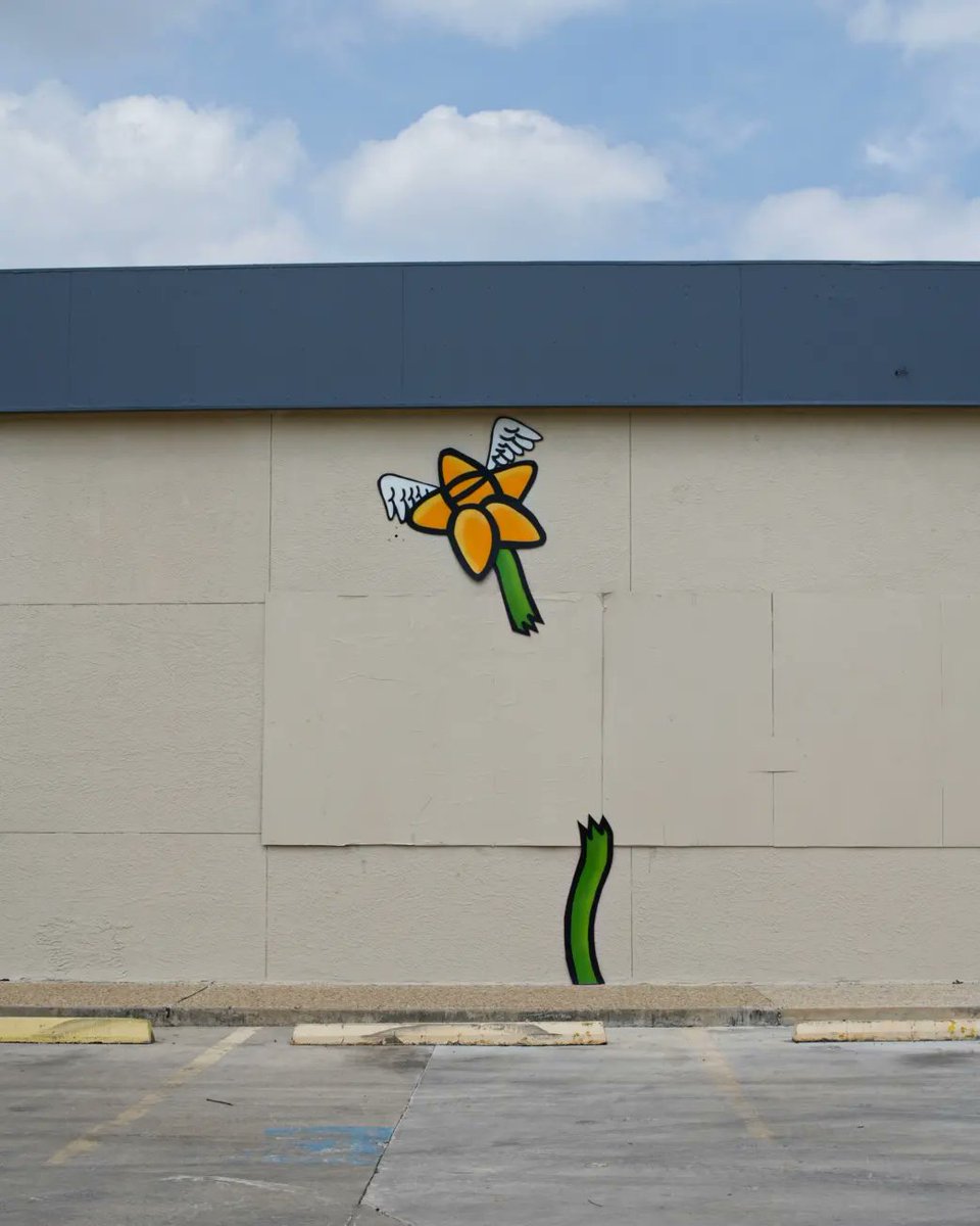 Part 1: The day before yesterday right after putting up my #wabisabistreetart installation I met Jose who was selling plants out of his truck. We had a great conversation about how he got started selling plants.
#treblaart #wabisabi