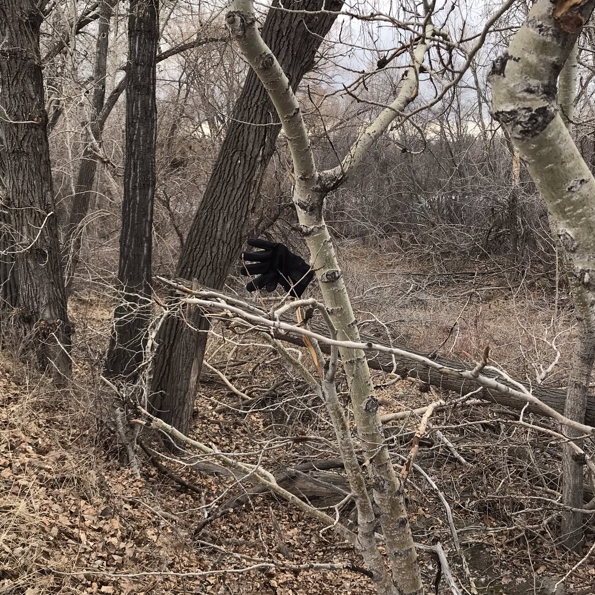 brainremain's tweet photo. Ten iPhone photos from winter in Calgary 🧤

https://t.co/FFujiMYfCw https://t.co/GckwWZxpPG