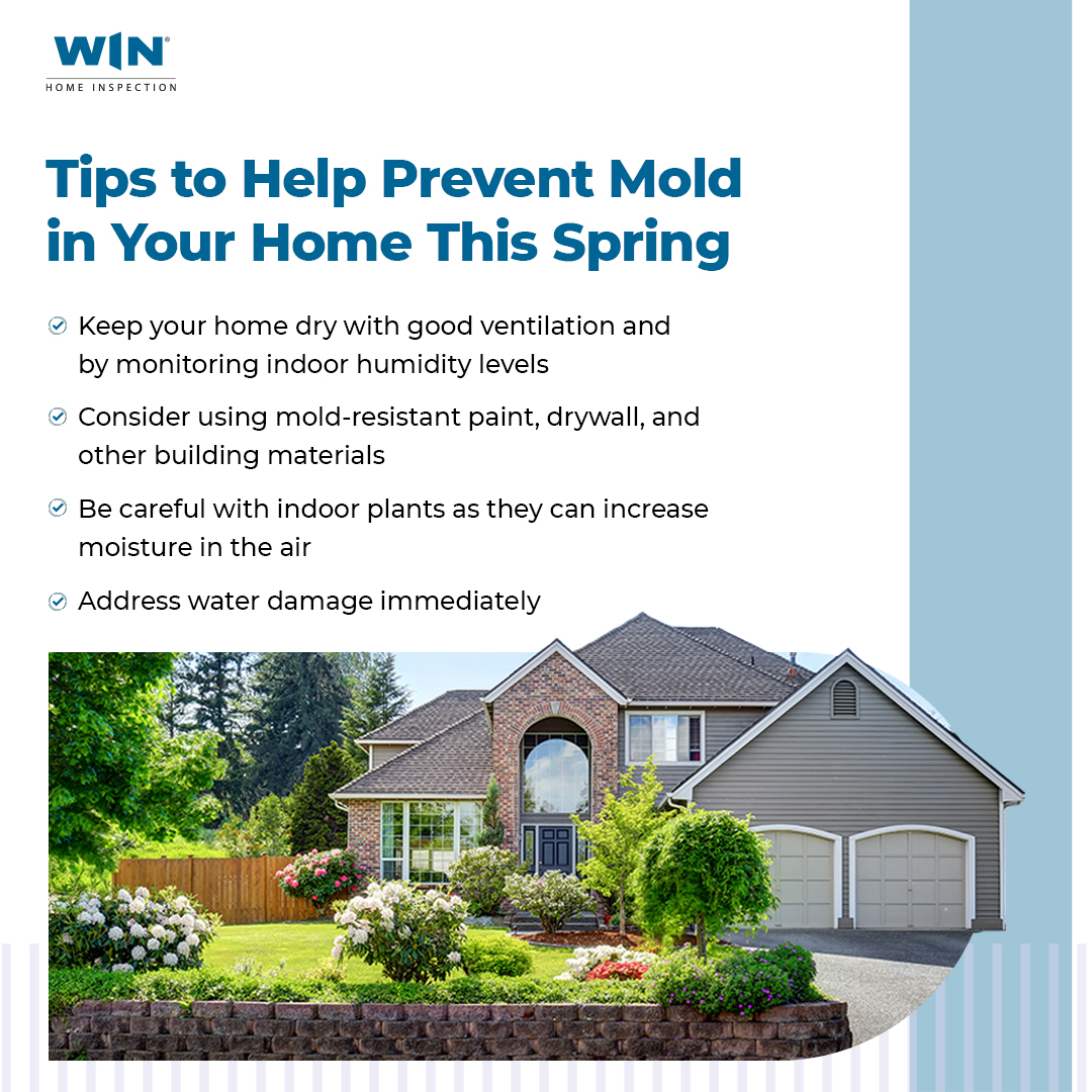 WINHomeInspect's tweet photo. Spring is a time of growth and prosperity, but unfortunately, that growth can include mold. Follow these tips to avoid mold in your home this spring!
#winhomeinspection #homeinspection #springseason #realestate #homeowner #moldinspection #moldfree #safehome https://t.co/CTIzeW67Yc