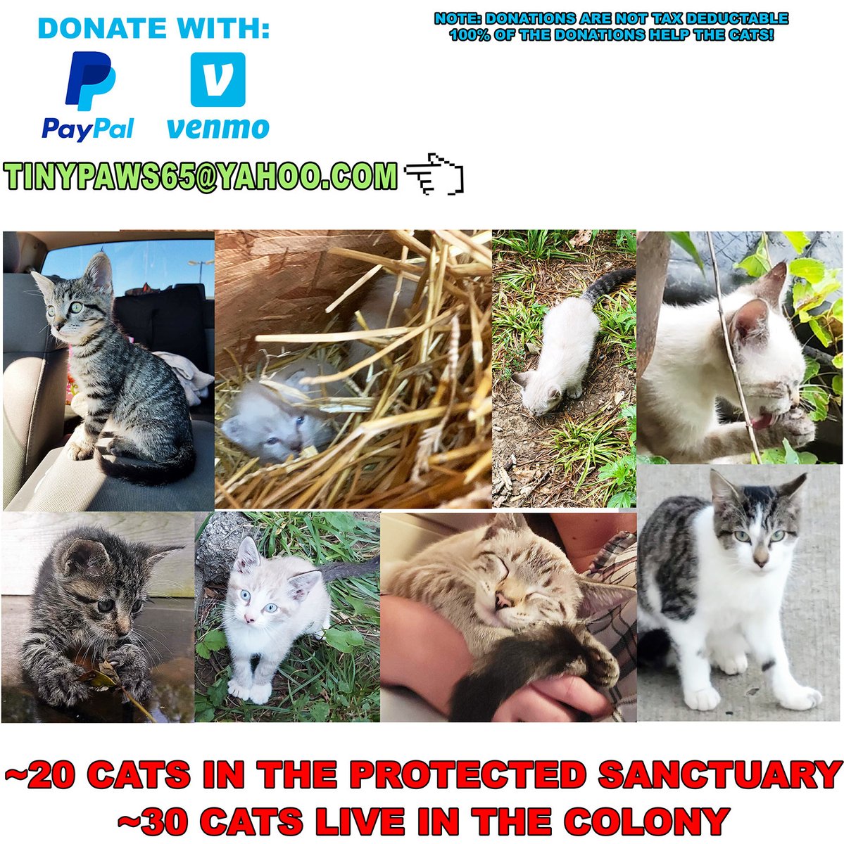 Freddie Williams II on Twitter "RT Freddieart My cousin cares for