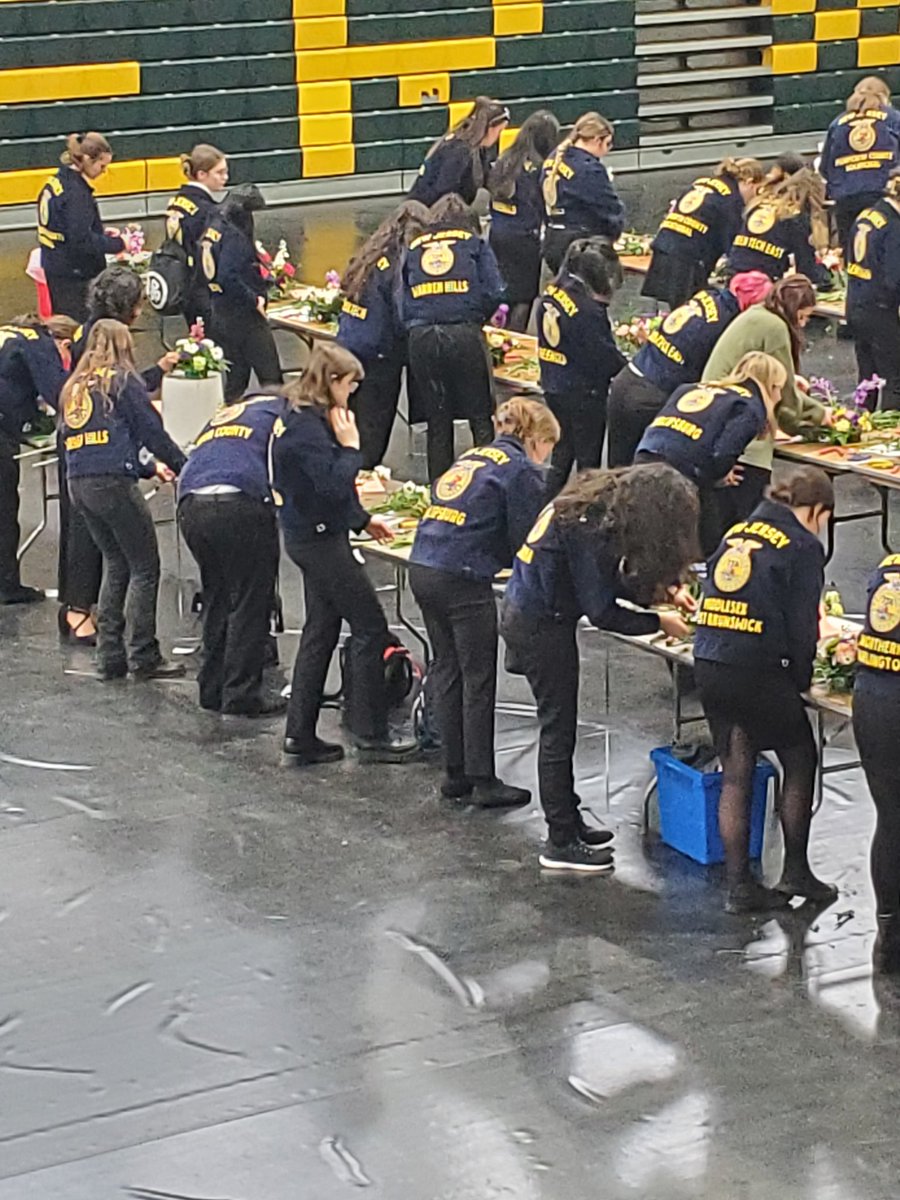 Jesse096230's tweet photo. Congratulations to the Phillipsburg FFA Floral Design CDE team for placing 1st out of 14 teams! I am so proud of Abbey Portillo, Mackenzie Hayes, Lily Snyder, and Eve Kirk! Way to go!! ๐ผ๐ท๐บ๐ป
#teachag #njffa #floriculture #floraldesign #reallifeskills #preparingstudents https://t.co/SRYwZ9DMNv