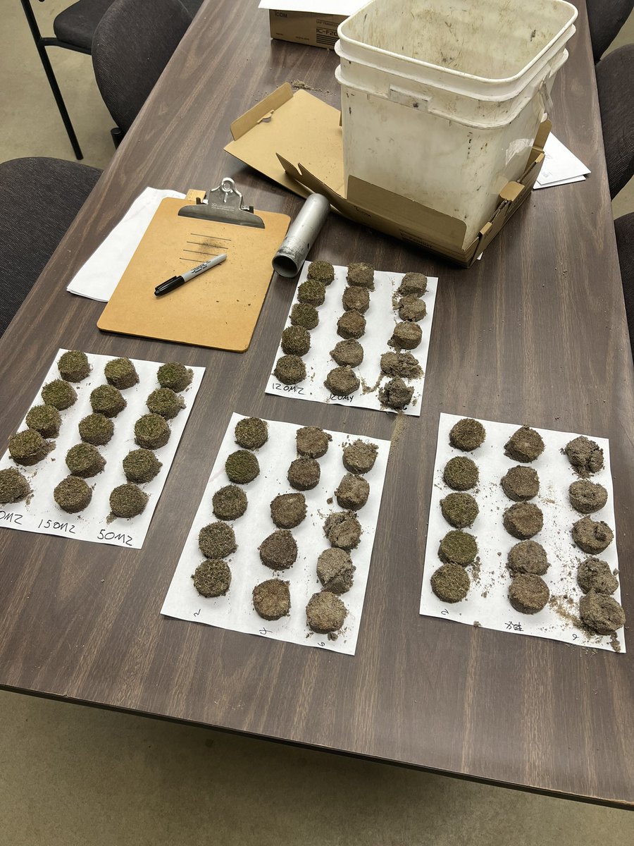 That time of year again. Drying out our #OM246 samples before sending to the lab.