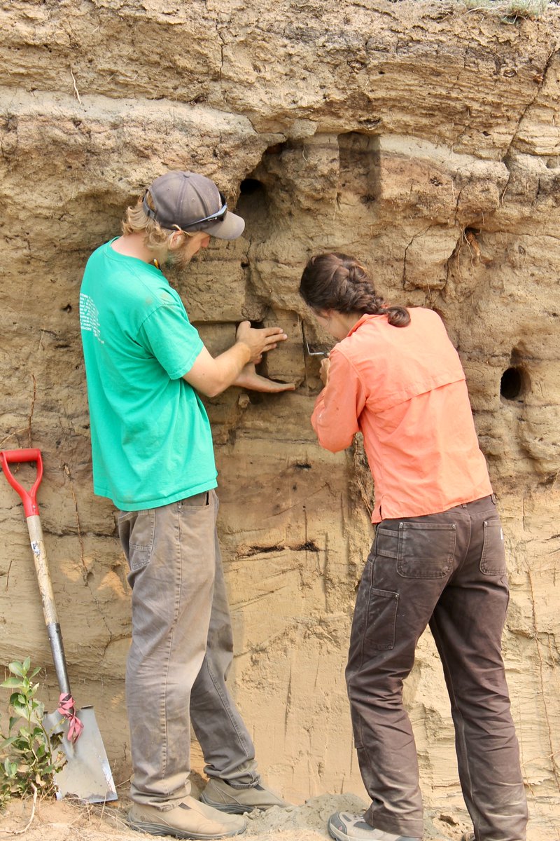 Nicholas R. Patton tweet media