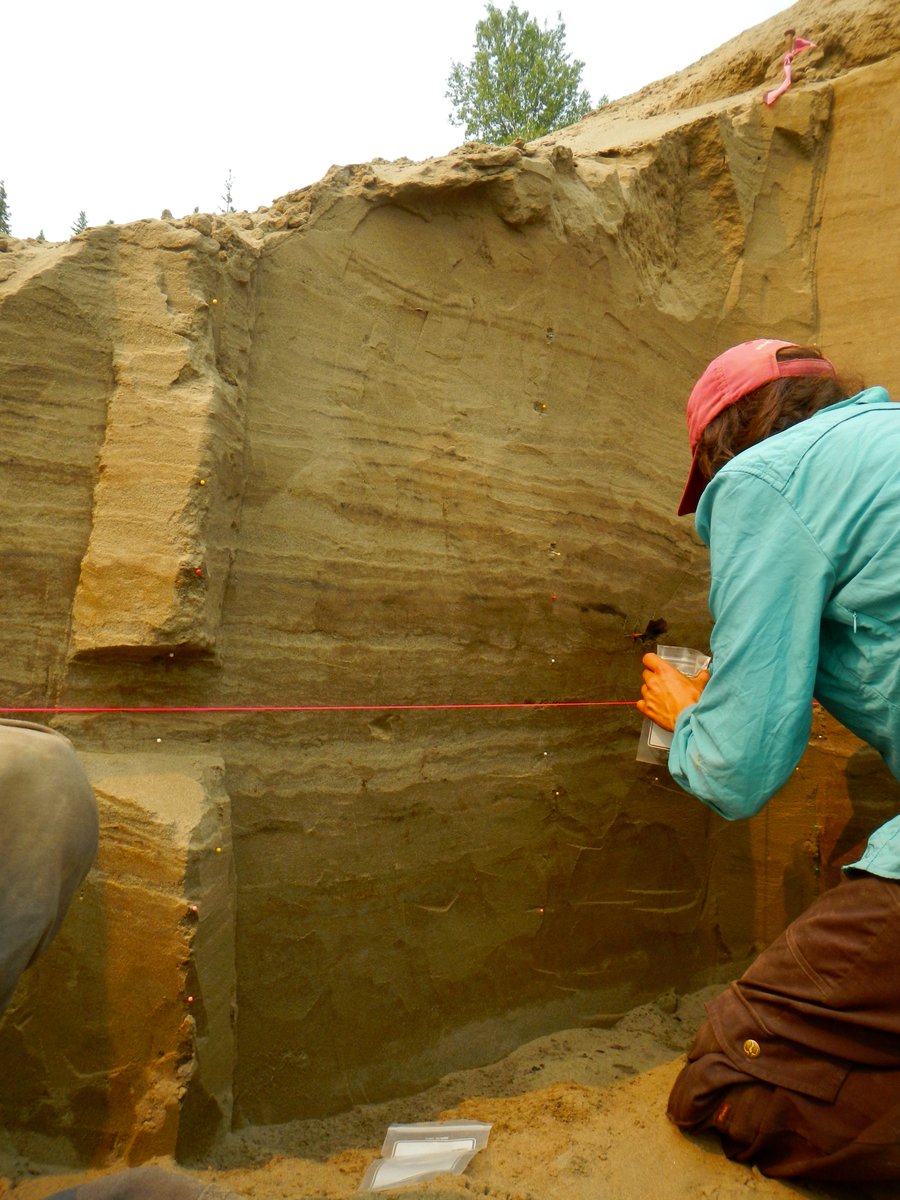 Nicholas R. Patton tweet media