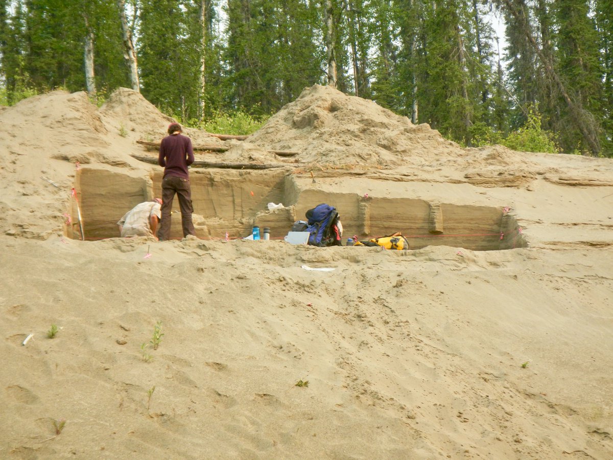 Nicholas R. Patton tweet media