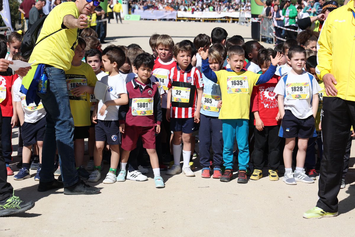 Ayuntamiento Alcobendas tweet media