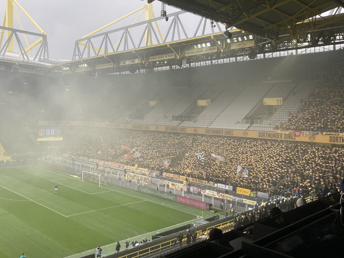 Choreo der Dynamo-Fans gegen die U23 des BVB #sgd1953 #BVBSGD