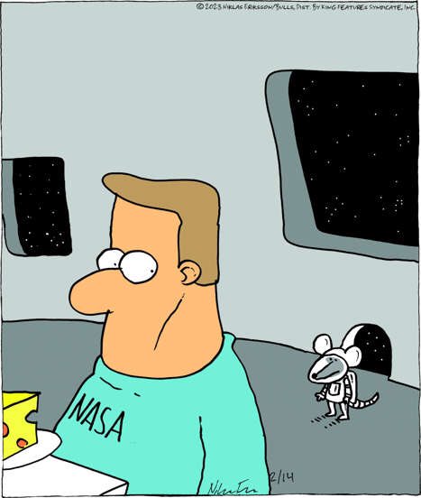 Kluddniklas (@kluddniklas) on Twitter photo 