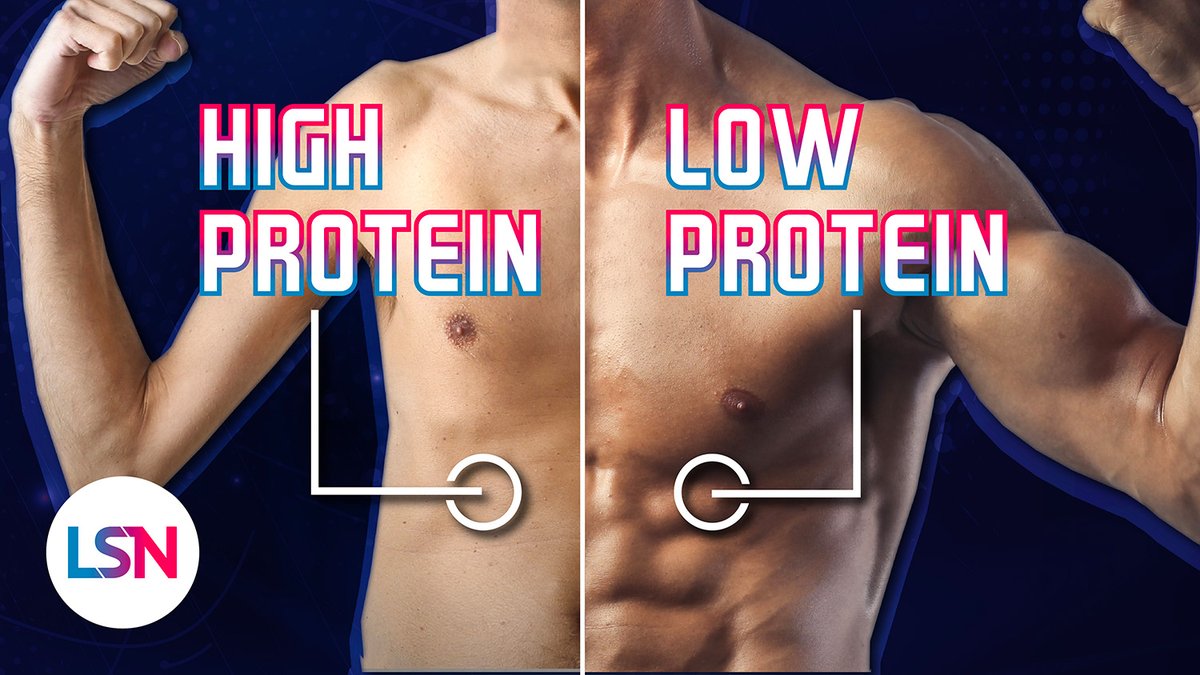More Protein = Less Muscle? Explore the interesting results from a new study in this episode of #LifespanNews hosted by <a href="/EmmettShort/">Emmett</a>! - youtu.be/EdaSrvOUFkY #Exercise #Muscle #Protein #Sarcopenia