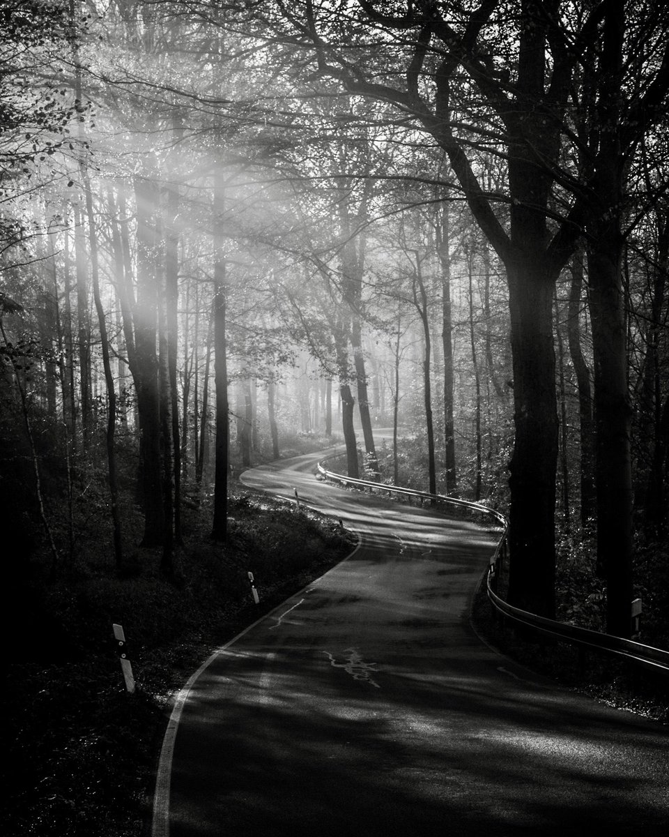 TFeddermann's tweet photo. B&amp;W - springlights 🙋🏼‍♂️🤩 https://t.co/kyL4HswCxx