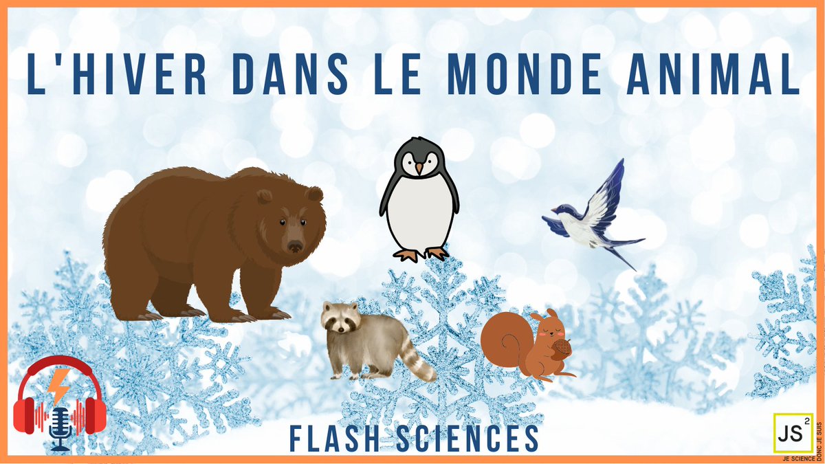 Nouvel épisode de Flash Science ! Vous l'aurez devinez, nous allons parler de l'hiver dans le monde animal ! Comment les espèces animales se protègent et vivent en période hivernal, on vous raconte tout dans cet épisode ! Le Podcast est dispo sur Spotify, Apple podcast et Deezer!