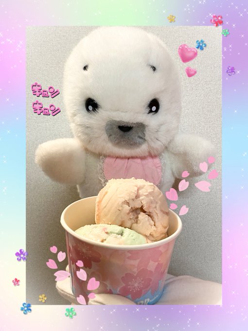 🐰2023/03/12🐰「🦭私の大好物でキュー🦭」綺麗な色のアイスクリームを貰いましたキュー🦭💕🍨#ゴマちゃん#少年アシ