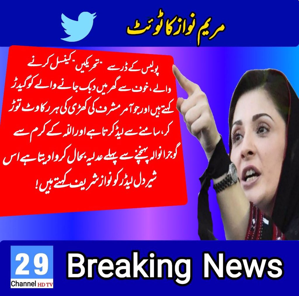 Channel 29 tweet media