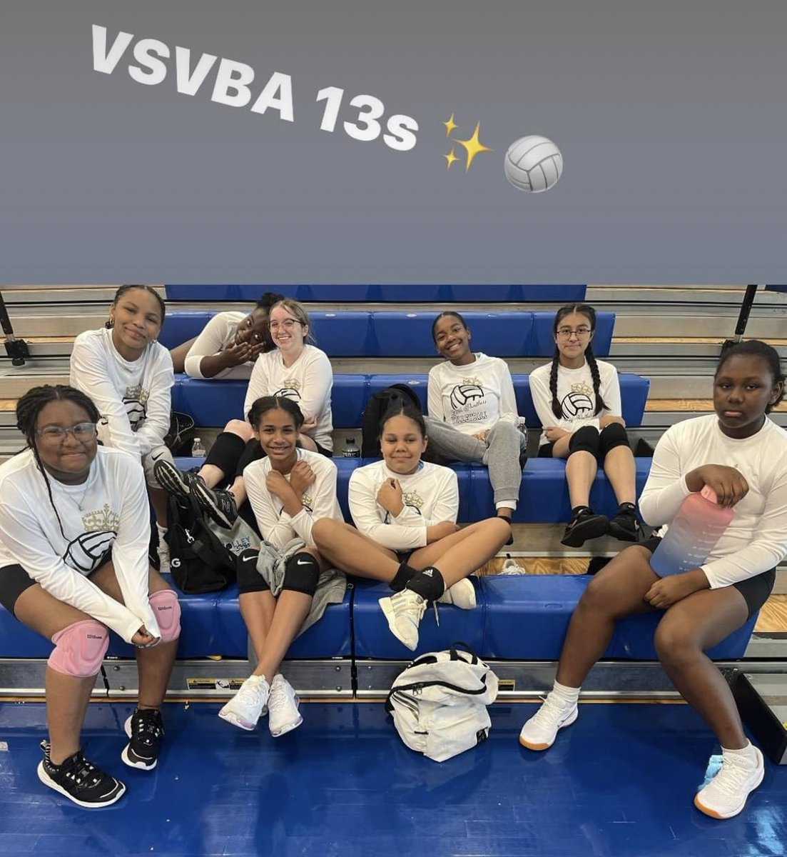 VolleyStarVBA tweet media