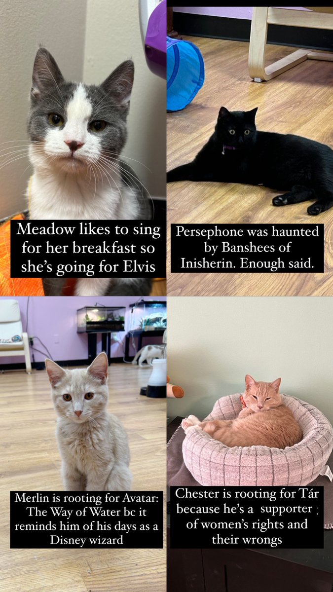 Roems✨ tweet media