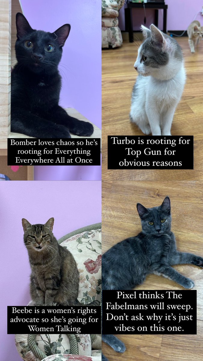 Roems✨ tweet media