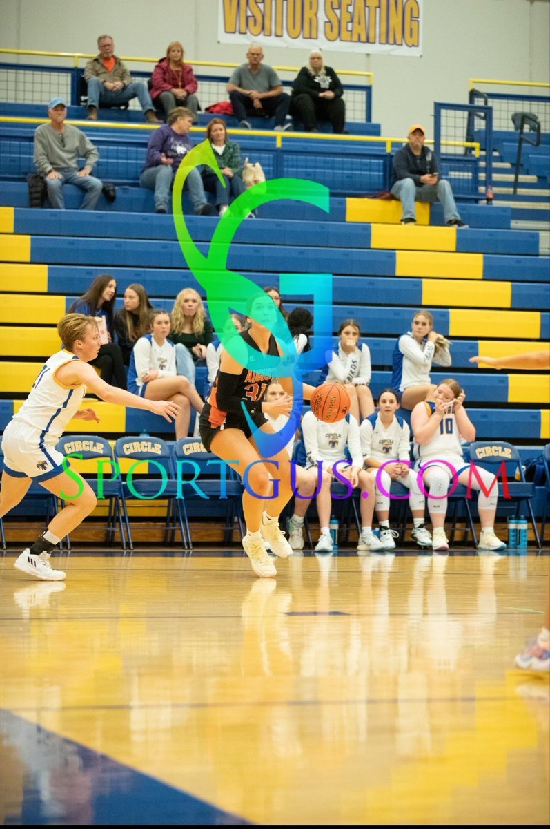 Lady Oriole Basketball tweet media