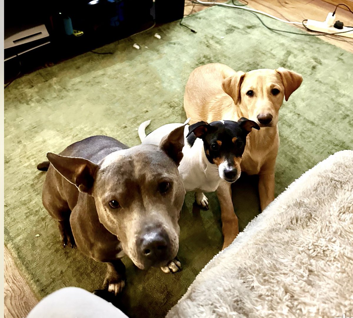 warrenbacci's tweet image. The 3 Amigos!