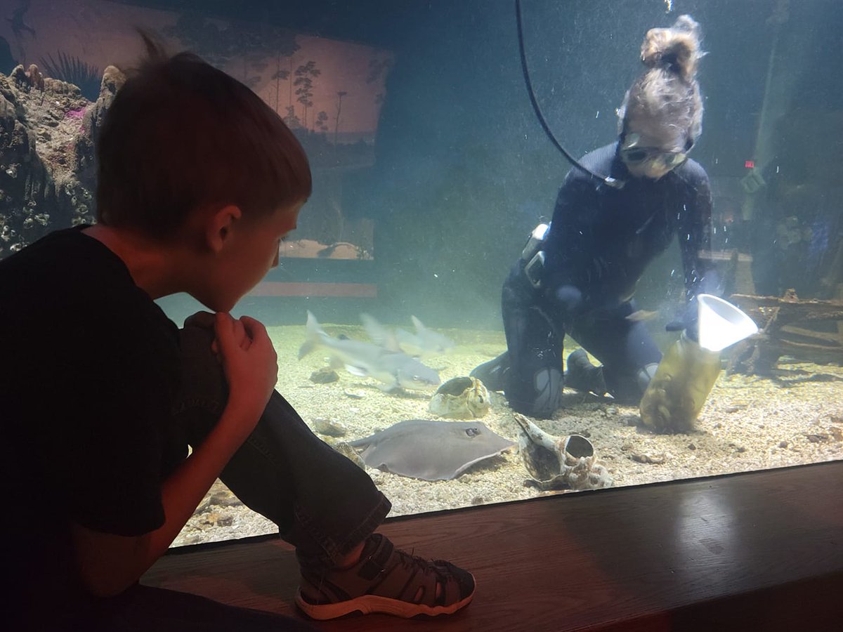MSScienceMuseum's tweet photo. 🐟 👀 Watch #divers feed the fascinating #fish in our aquariums every Tues &amp; Fri at 10am, &amp; Sun at 2pm. 

#mssciencemuseum #JacksonMSEvents #mslist #myjxn #visitjacksonms #visitms #visitridgeland #SEMuseums #SETourism #capitalareatourism #LeFleurMuseumDistrict #mdwfponline https://t.co/jvmwY6Q9zh